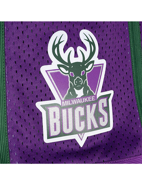 Mitchell & Ness Split HWC 1996 Milwaukee Bucks Swingman Shorts In Green & Purple - Zoom View On Left Leg Graphic